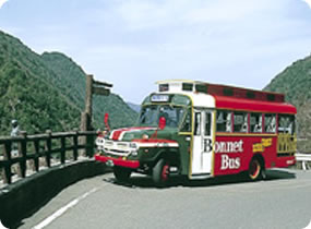 A6.Tourist Bonnet Bus (around lya Area)